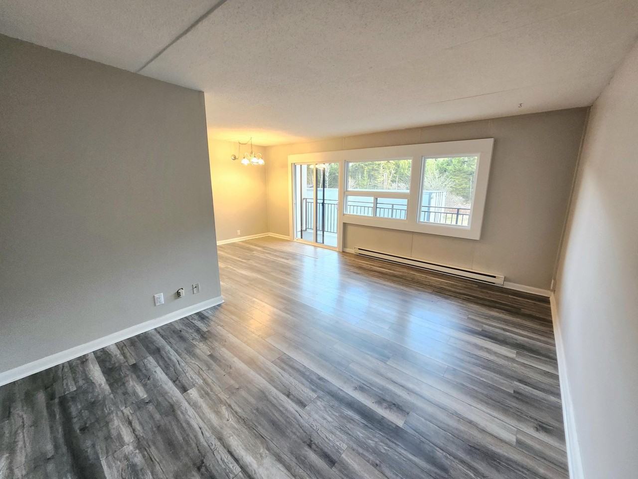 411 Ellerdale St #205 - Photo 4 of 21