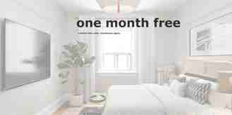 54 - 56 Maitland Street - Photo 1 of 1