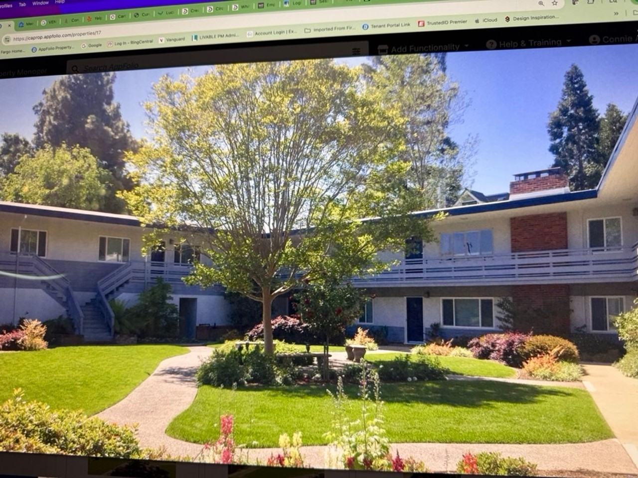 Noel Court Apartments - Photo 3 of 3