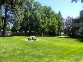 featured image of 508 West Shasta Way