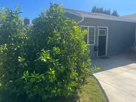 17048 Los Alimos Street - Photo 1 of 1