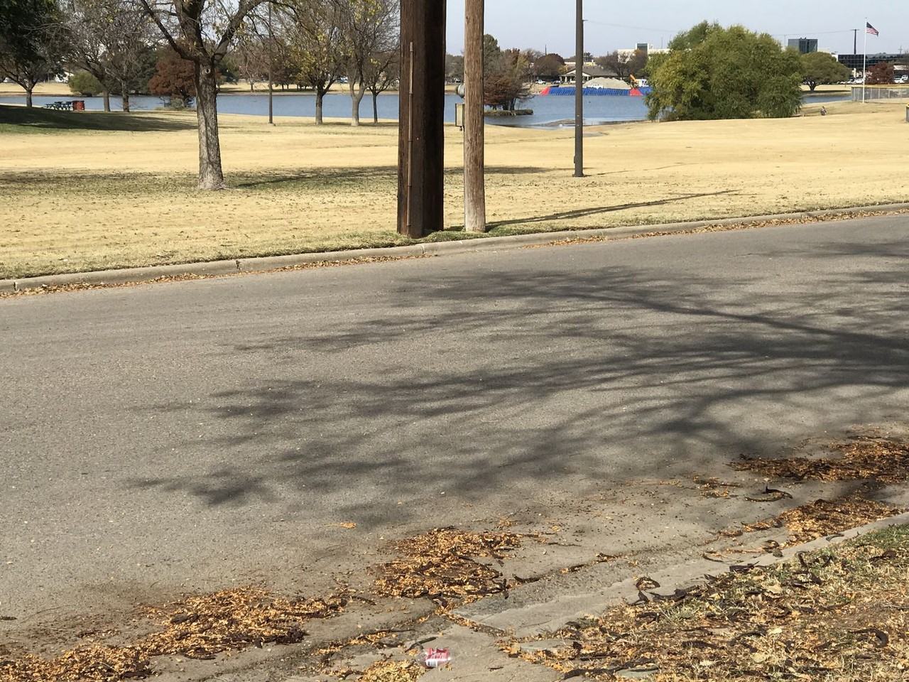 3820 30th Street - Photo 3 of 11