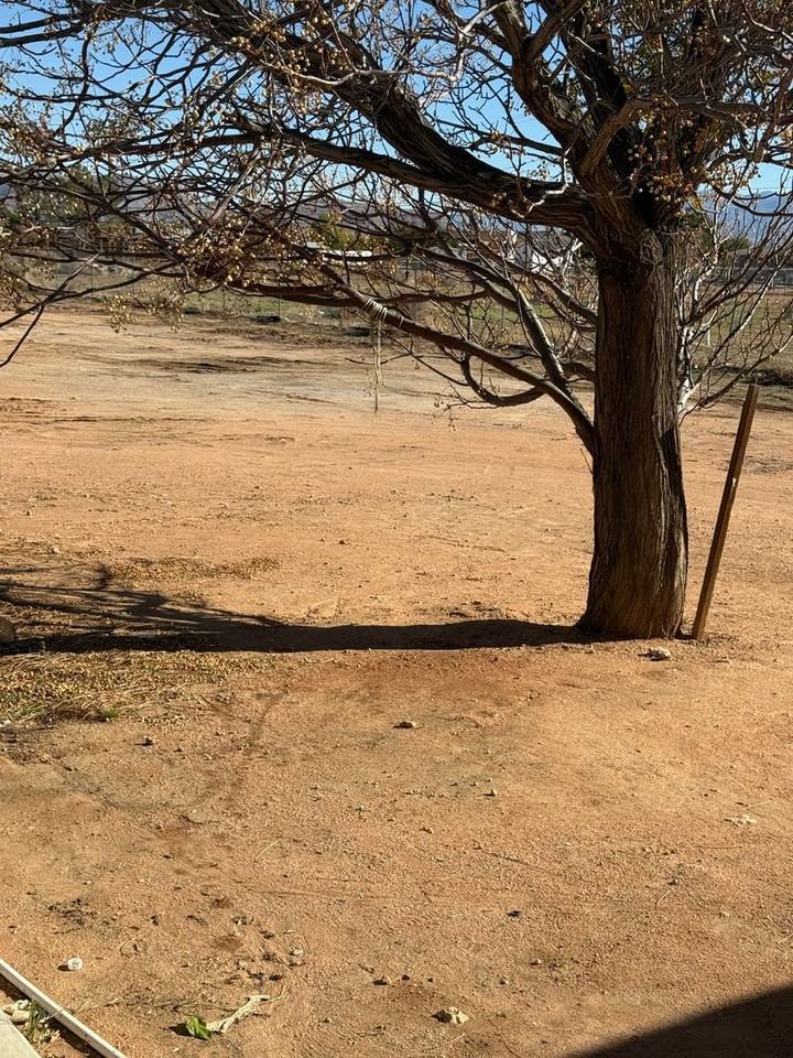 15377 Dale Evans Pkwy - Photo 7 of 12