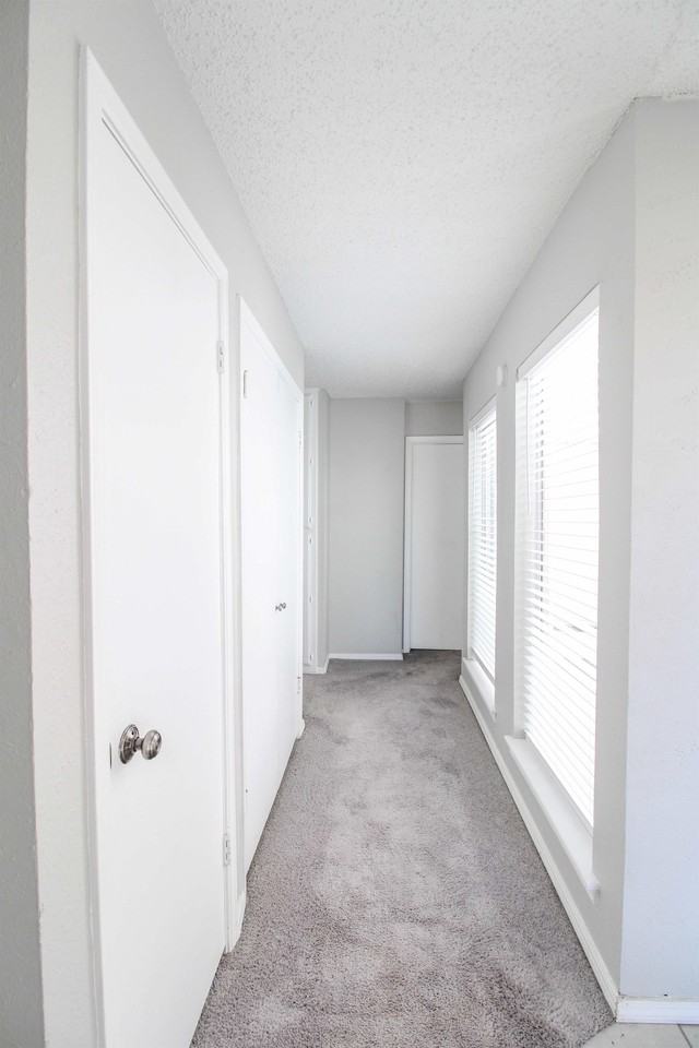 8900 N Shannon Ave #1 - Photo 7 of 16