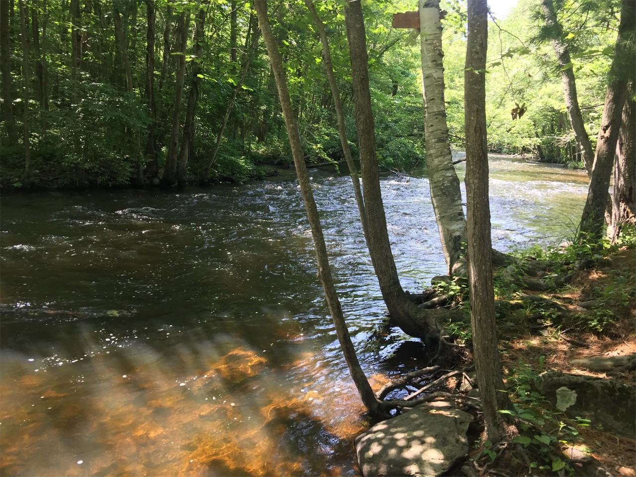 541 Main St #3 - Photo 2 of 24