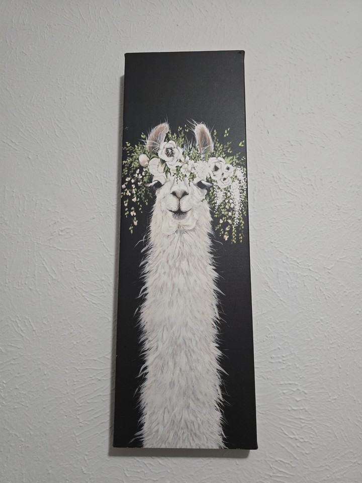 4812 Spring Meadow Cv - Photo 6 of 19