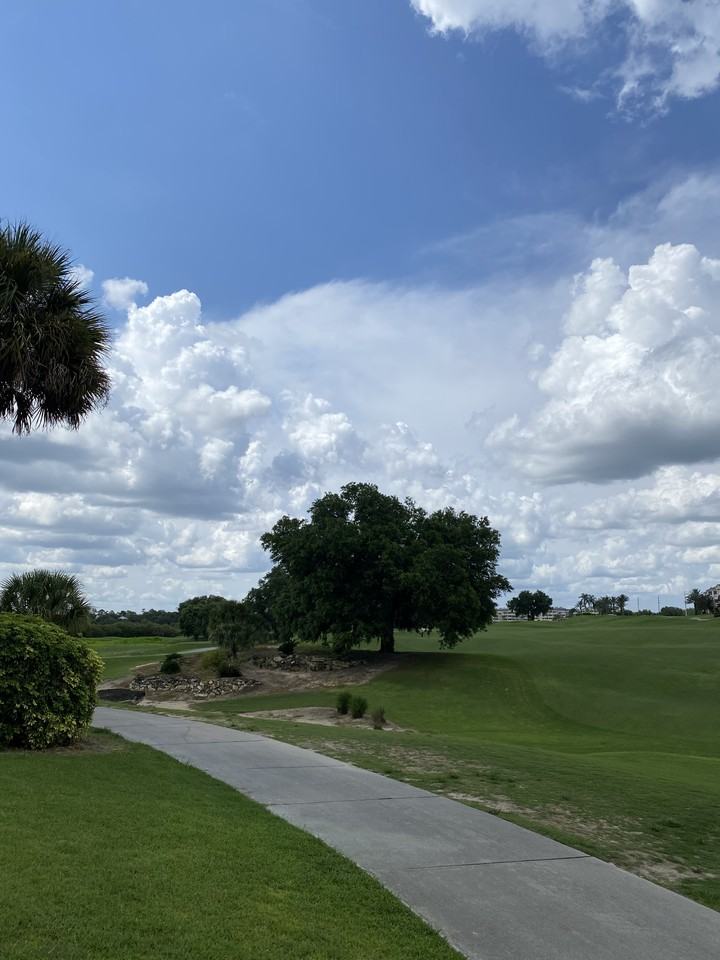 1591 Heritage Crossing Court #201 - Photo 3 of 14