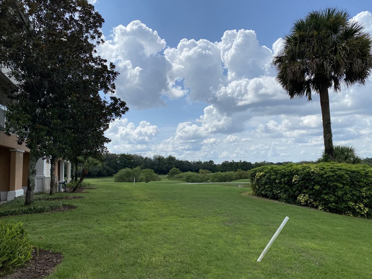 1591 Heritage Crossing Court #201 - Photo 5 of 14