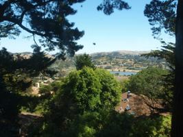 featured image of 87 California Avenue