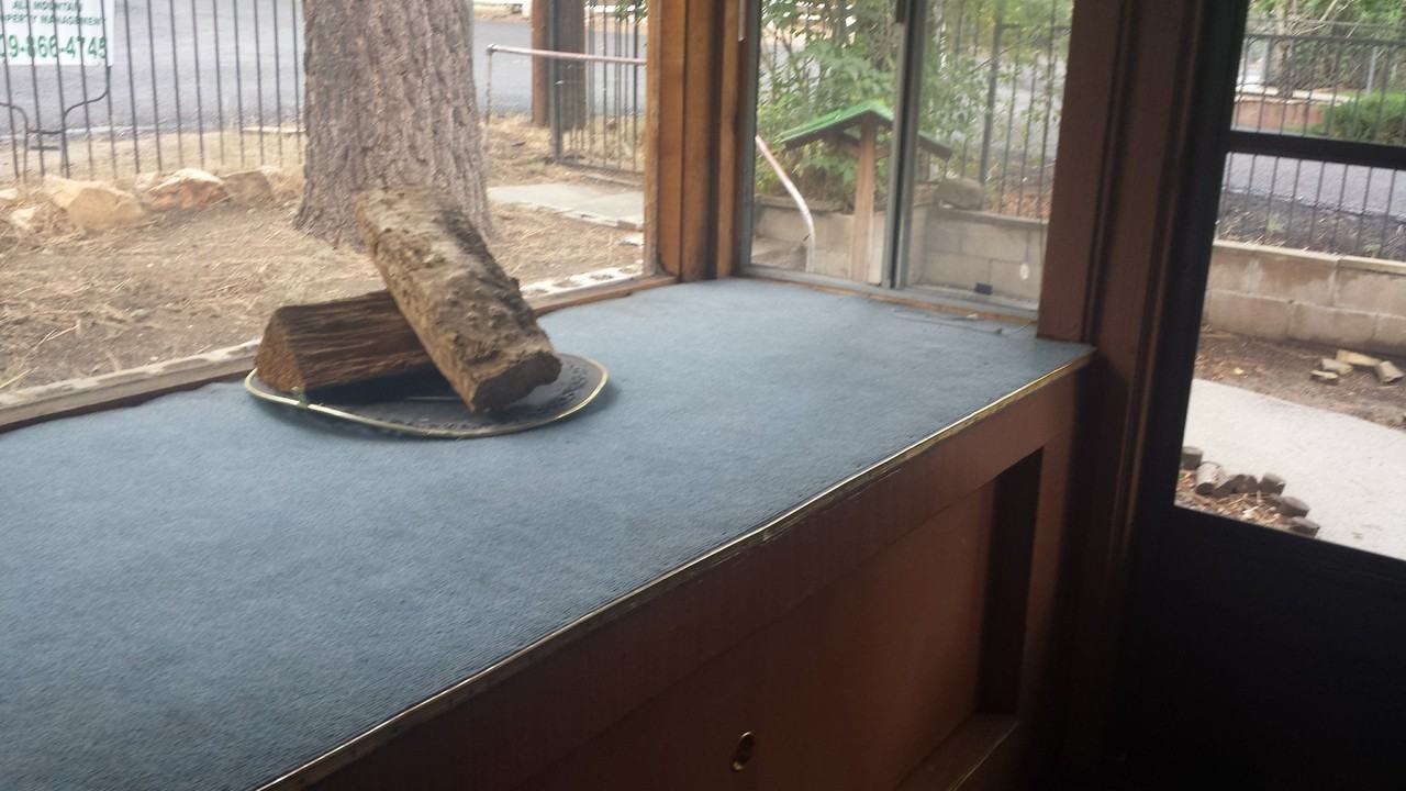 345 W Aeroplane Blvd - Photo 5 of 15