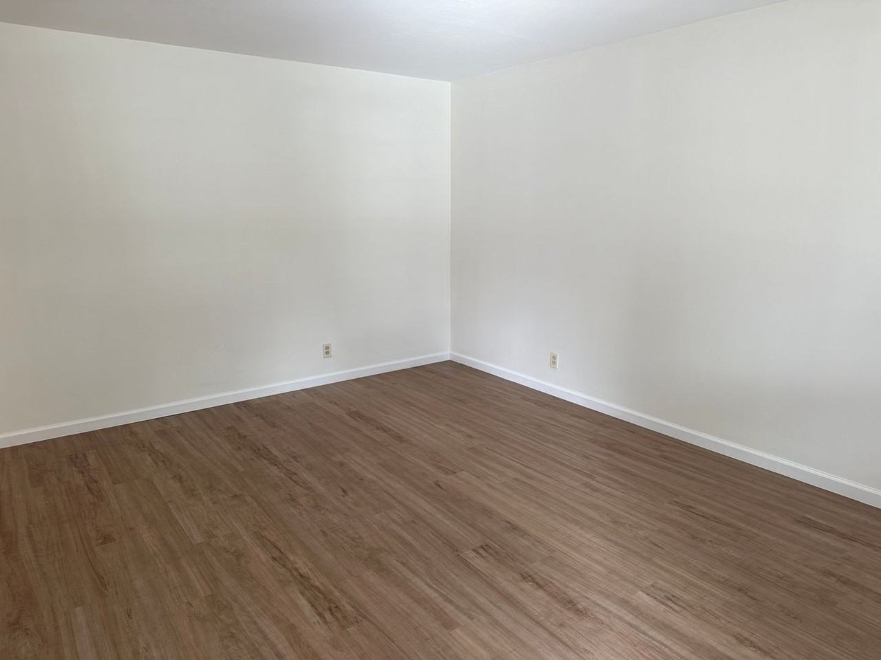 6203 Goddess Court - Photo 3 of 14