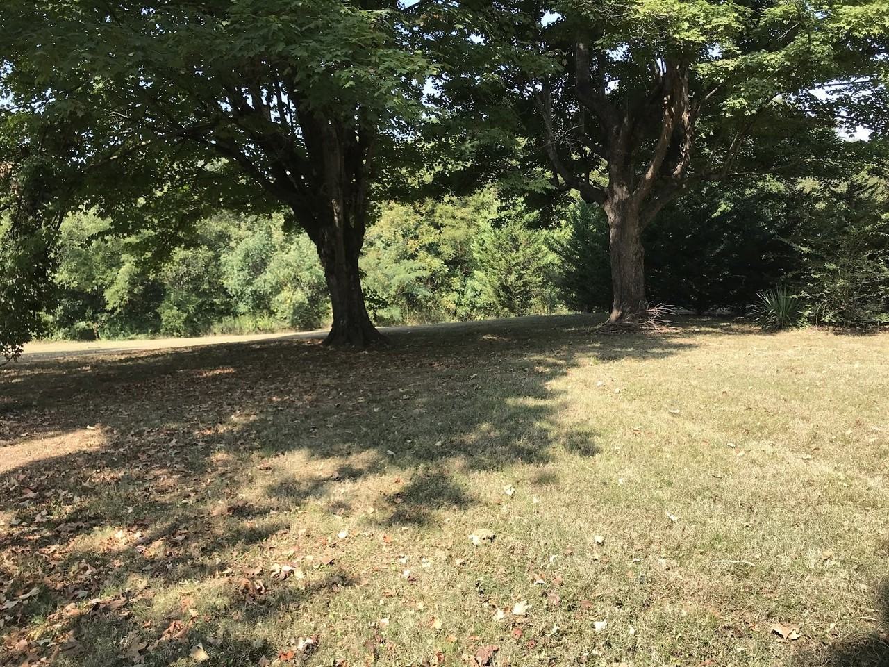 Monroe Street - Photo 7 of 25