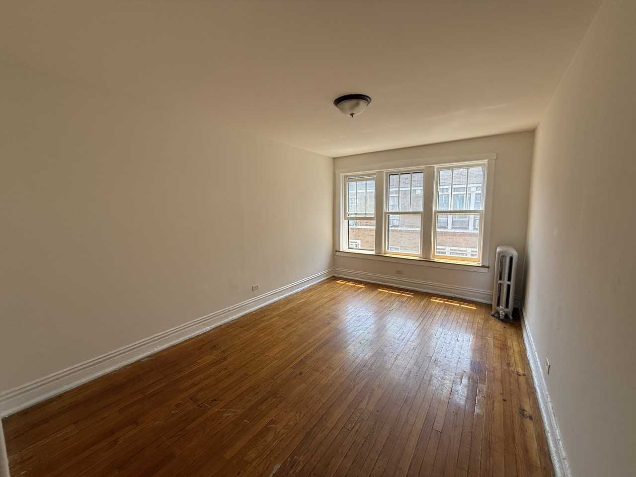 6642-6652 N Clark St - Photo 5 of 21