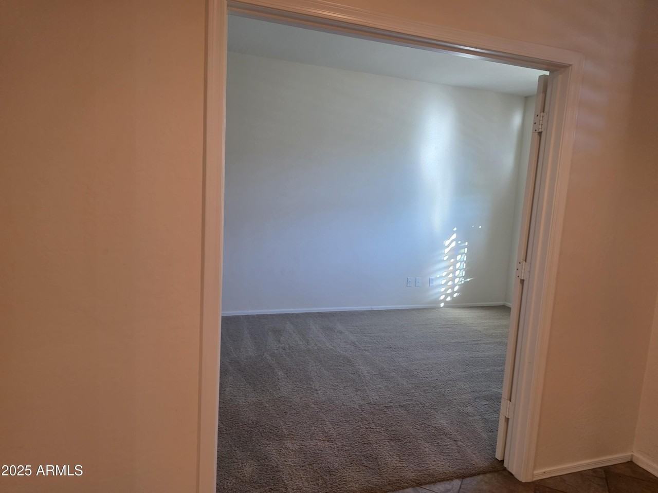 1162 East Springfield Place - Photo 3 of 27