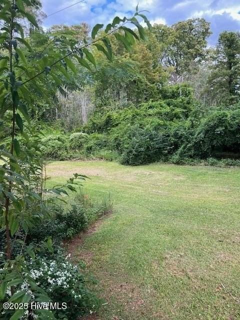 220 River Rd - Photo 4 of 34