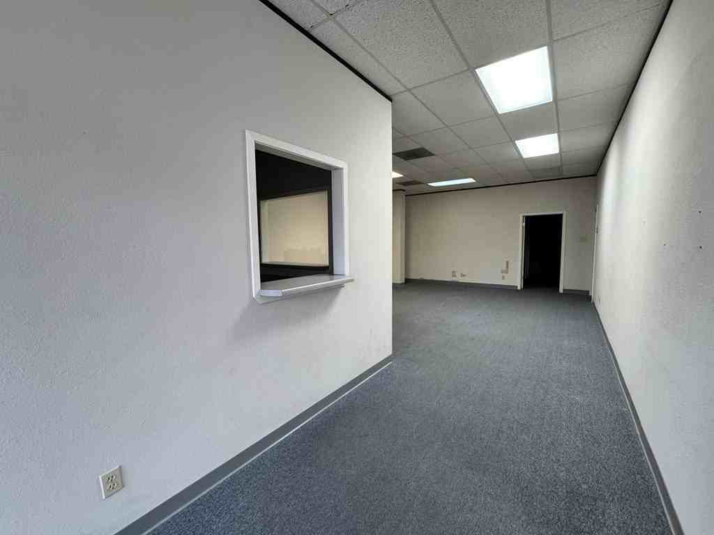 723 Hill Country Drive - Photo 4 of 21