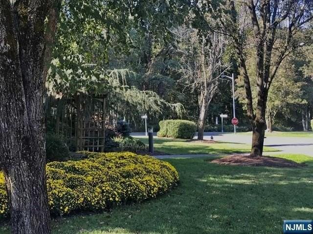 201 Beech Ct - Photo 4 of 12