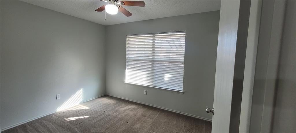 10345 Bear Hollow Dr - Photo 3 of 17