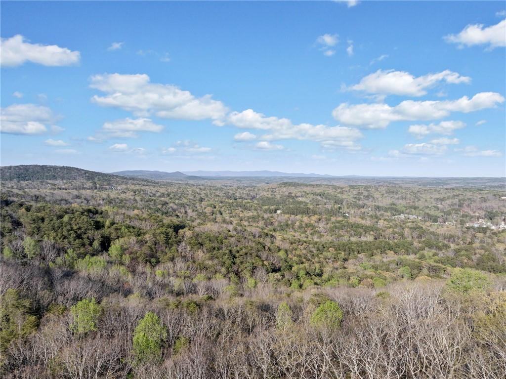 121 Moose Loop - Photo 5 of 50