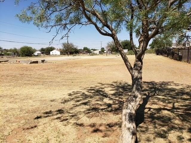 4033 W 10th St - Photo 2 of 5