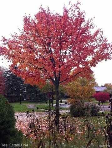 5837 Folkstone Dr - Photo 3 of 50