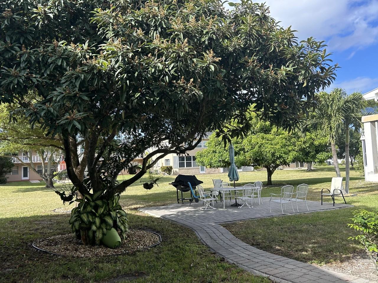 137 Bedford F - Photo 4 of 18