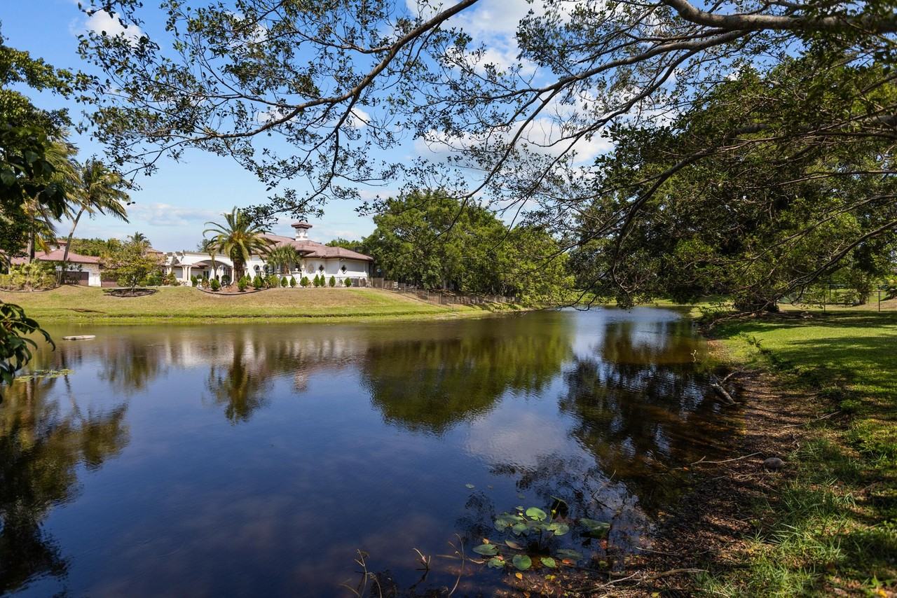 10058 El Caballo Court - Photo 6 of 50