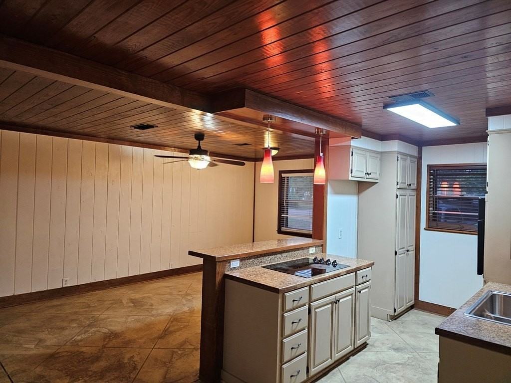 903 Mimosa Dr - Photo 3 of 9