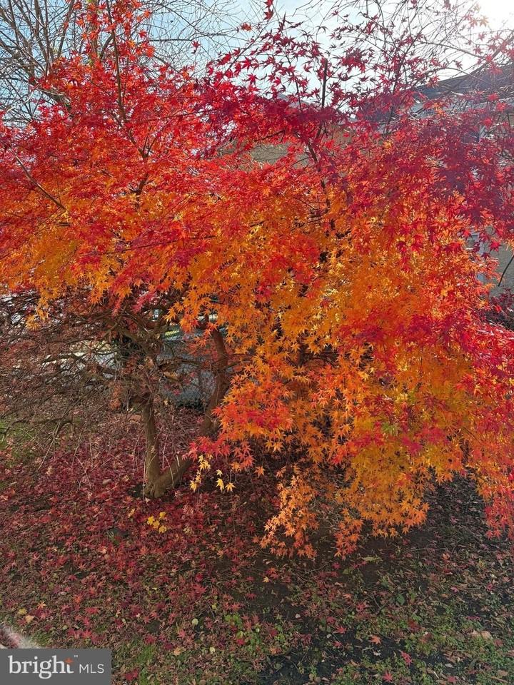 7330 Sycamore Ave Unit 2 #2 - Photo 2 of 21