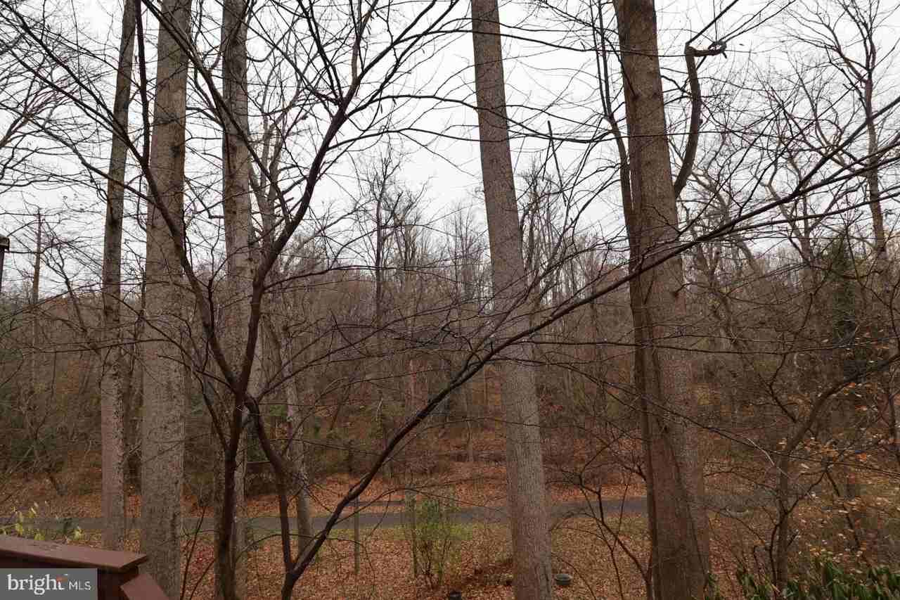 11312 Myrtle Ln - Photo 6 of 24