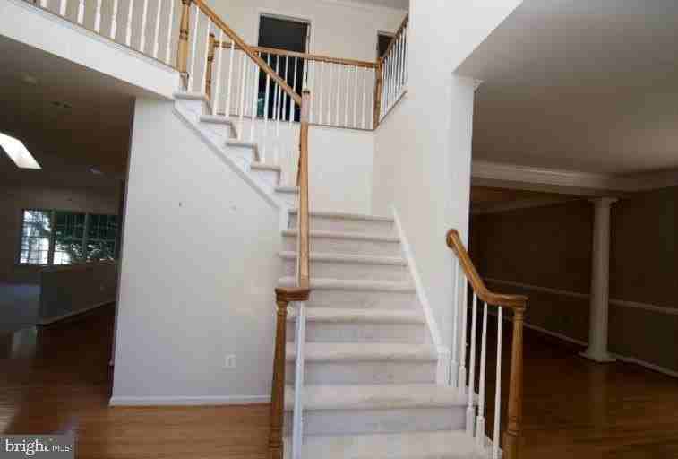 10838 Welbury Ct - Photo 4 of 29