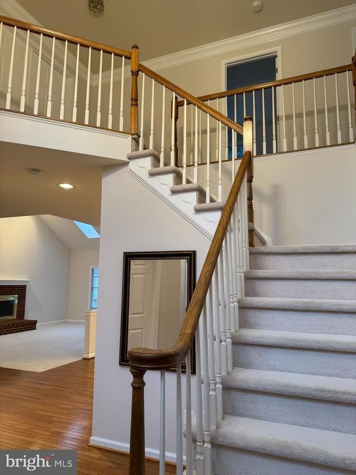 10838 Welbury Ct - Photo 5 of 29