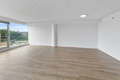 1770 1st Street #602 - Photo 1 of 1