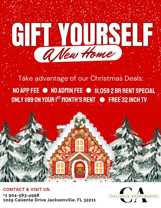 **Caliente Apartments: Arlington's Hot Spot** - Photo 1 of 1