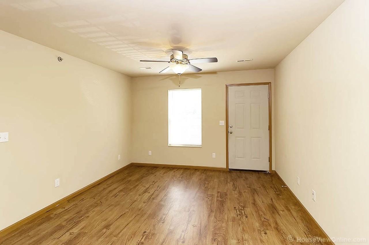 Olive 547 - Photo 2 of 9