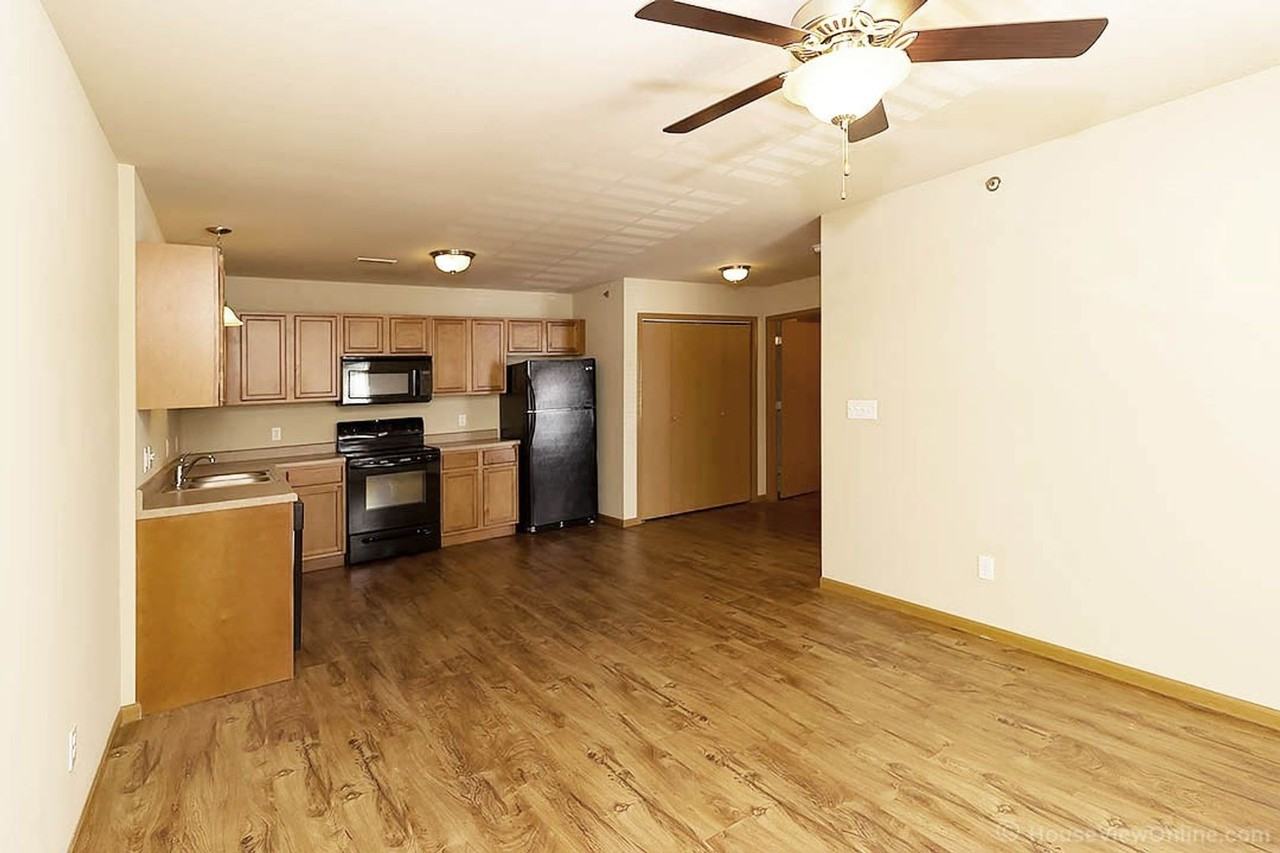 Olive 547 - Photo 4 of 9