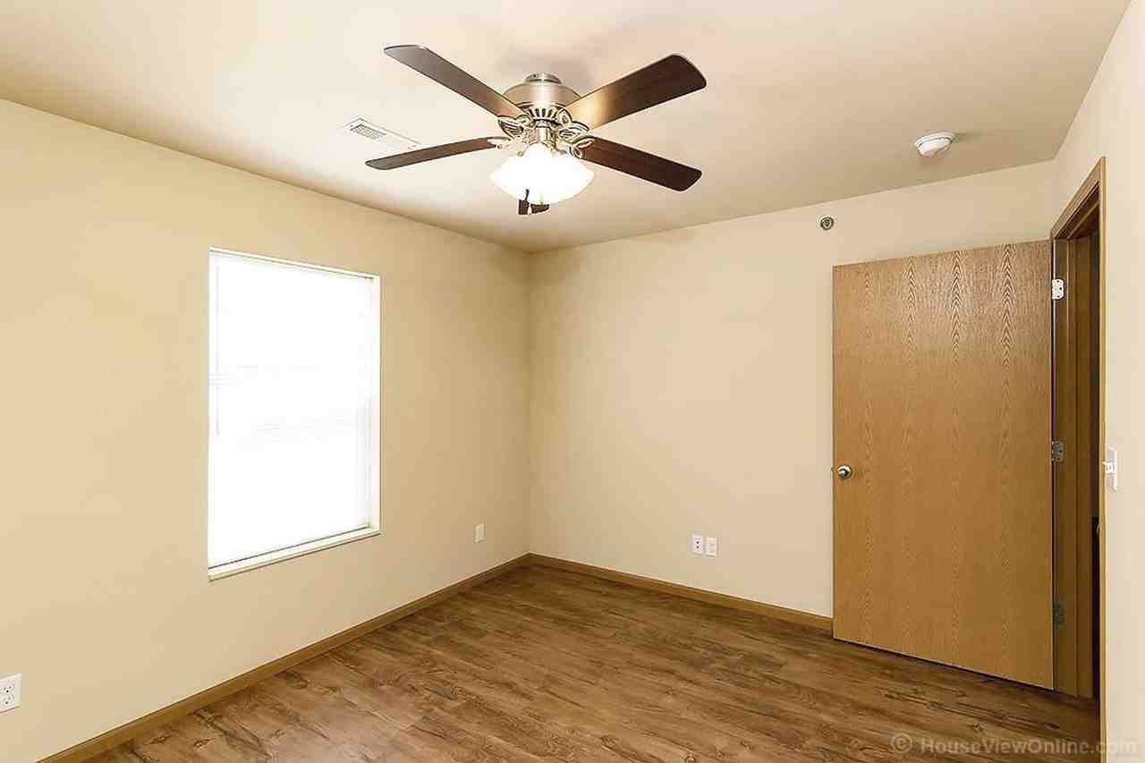 Olive 547 - Photo 7 of 9