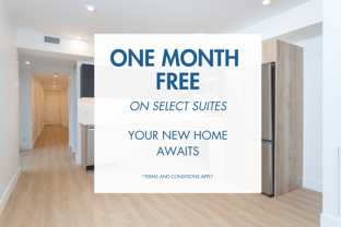 The Churchill - York Collection - Photo 1 of 1