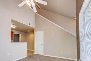 JuneBeene3 - Photo 1 of 1