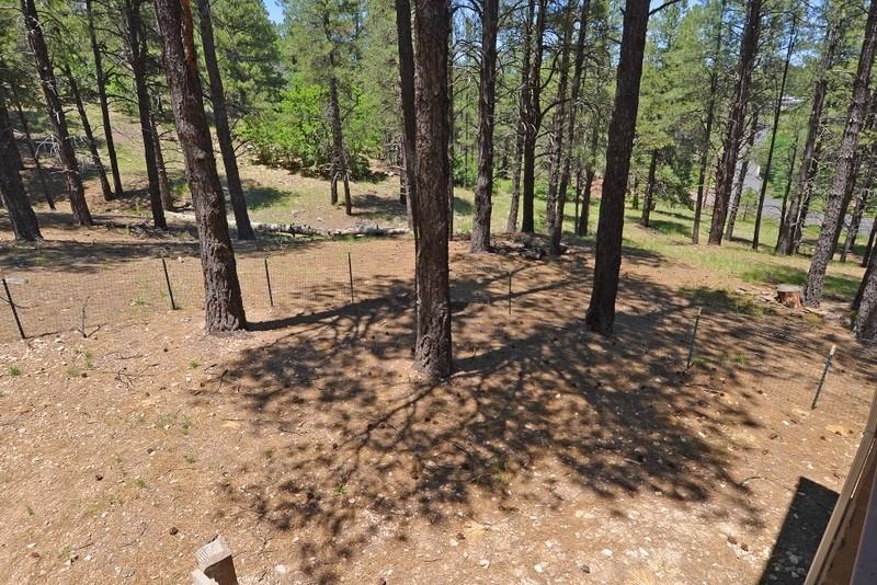 2989 Kona Trail - Photo 6 of 14