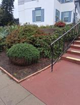 3677 Park Blvd. - Photo 1 of 1