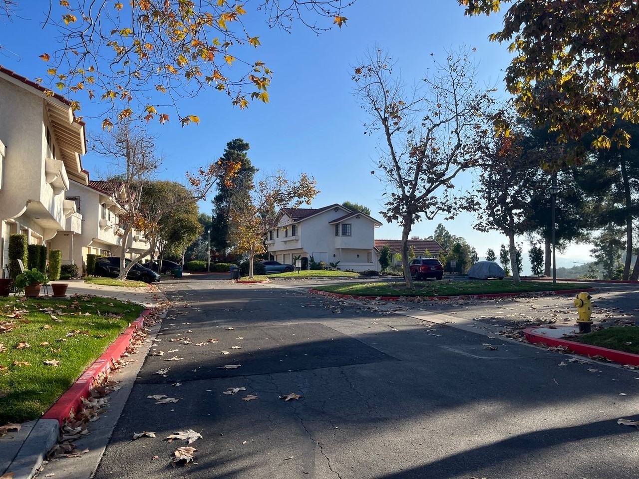 3070 Corte Trabuco - Photo 3 of 36