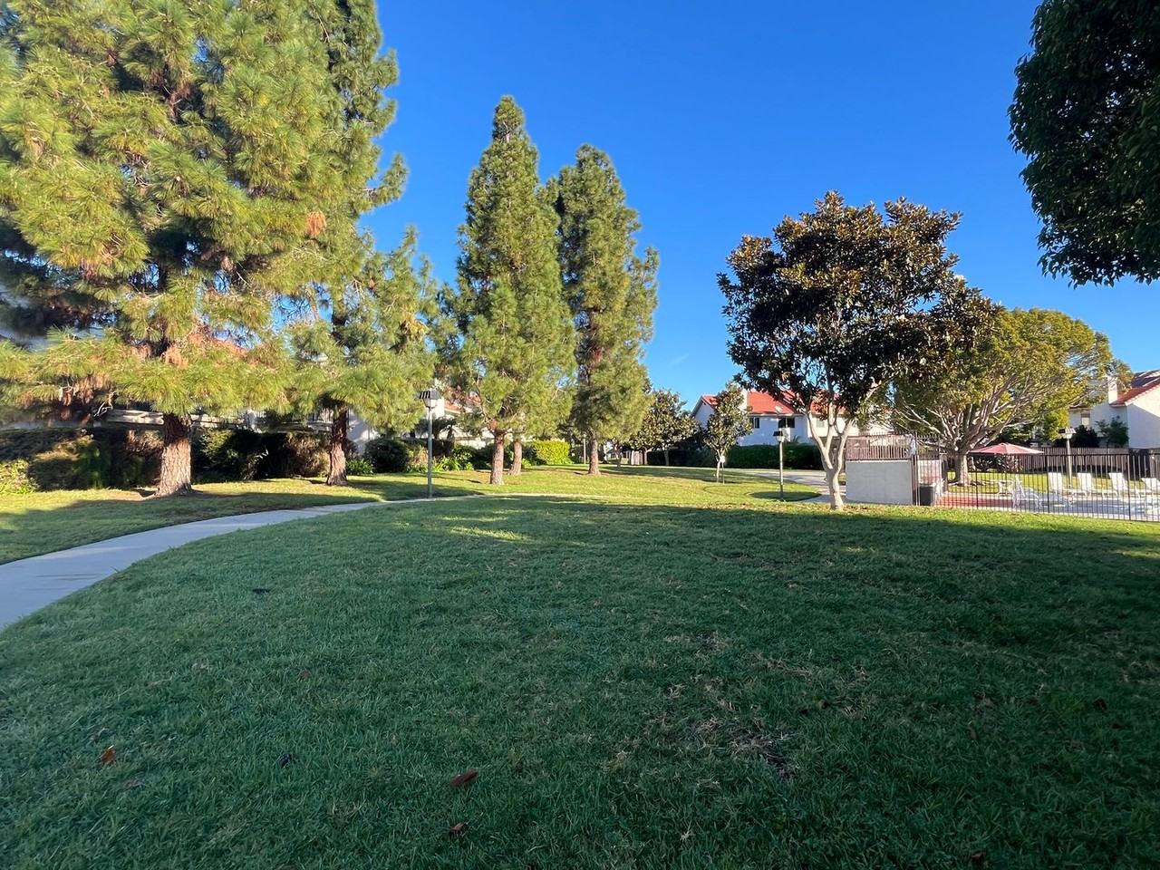 3070 Corte Trabuco - Photo 4 of 36