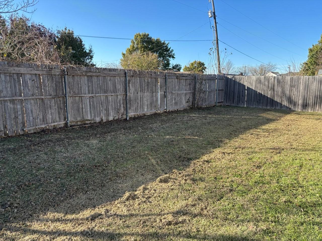 1112 Pintail Drive - Photo 4 of 9