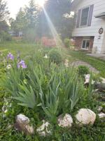 featured image of 2524 West Plum Street