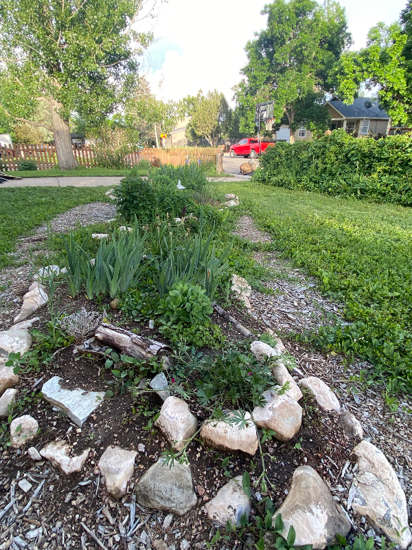 2524 West Plum Street - Photo 2 of 20