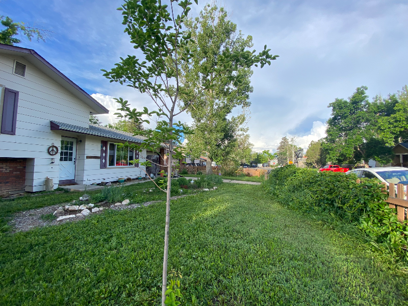 2524 West Plum Street - Photo 3 of 20