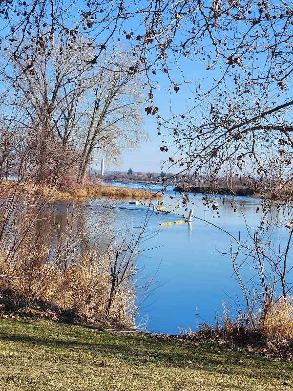 710 Catskill St - Photo 3 of 10