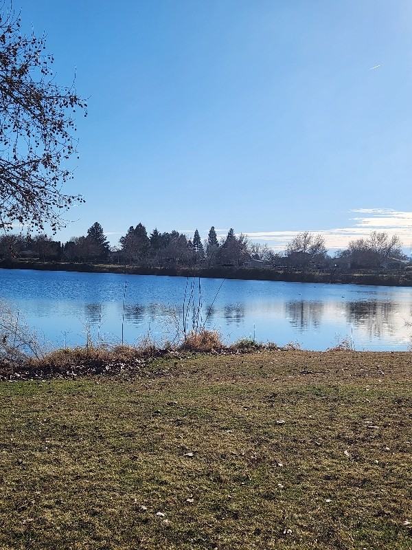 710 Catskill St - Photo 4 of 10