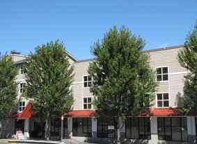 Santorini at the Park Apartments - Photo 1 of 1